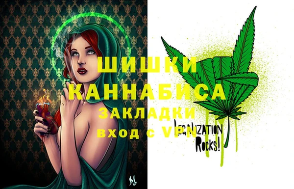 прущие грибы Нефтегорск