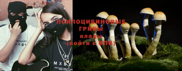 прущие грибы Нефтегорск