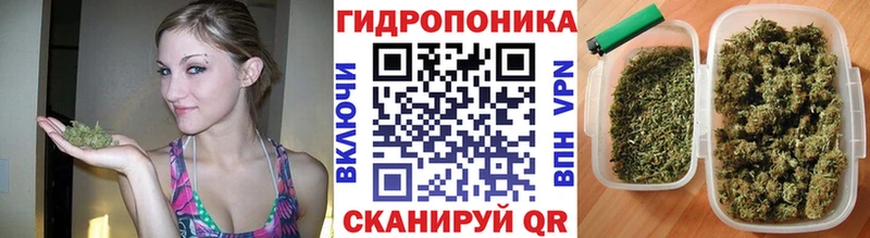 Канабис конопля  Красновишерск 